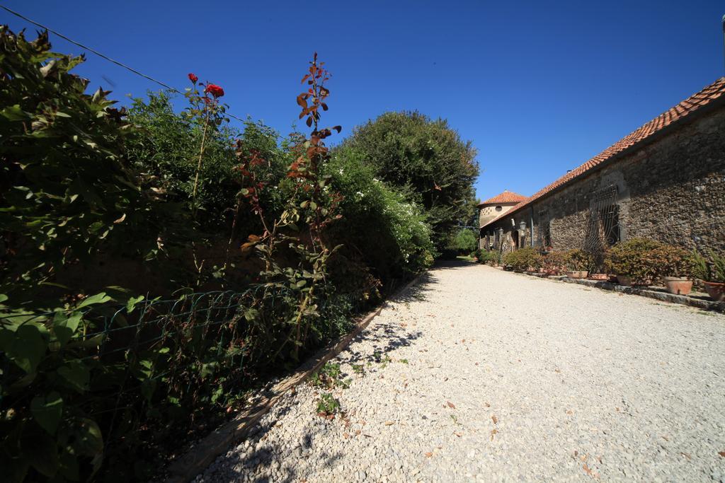 Azienda Agrituristica Seliano *